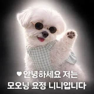 Telegram sticker 😥 호민박이 최고임
