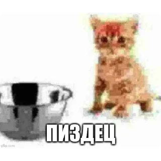 Telegram sticker 🖼 Атрофия мозга @kerosin699