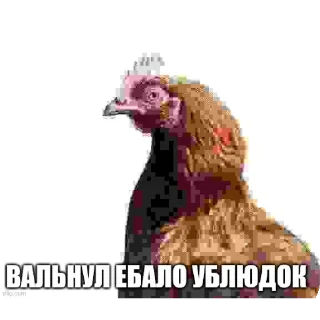 Video sticker 🧸 Атрофия мозга @kerosin699