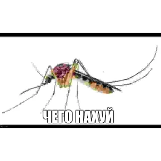 Sticker 🐞 Атрофия мозга @kerosin699