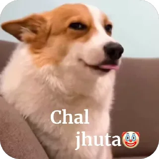 Video sticker 🌝 Ig  suvam