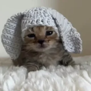Video sticker 🥹 Skibidi @nah_lev_me_alon
