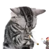Video sticker 🚬 cursed kittens @sa...