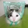 Video sticker 🙂 cursed kittens @sa...