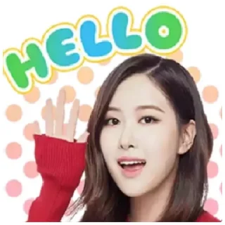 Video sticker 😁 Blackpink