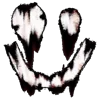 Video sticker 🌟 dark ➜ @emoji1