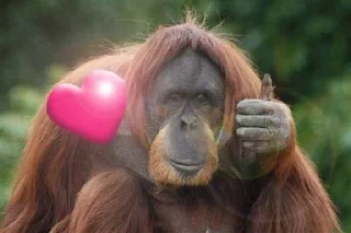 Telegram sticker 😔 Favorite stickers :: @fStikBot