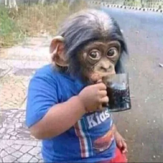 Sticker 👀 シG A N G S T A @iam_gangsta