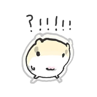 Video sticker ⭐ 호락호락x 햄스터 14 by 뾰로롱🍭