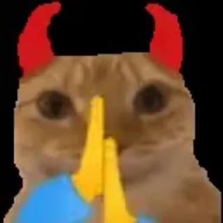 Video sticker 🌟 esli ti eto chitaesh ti lox :: @fStikBot