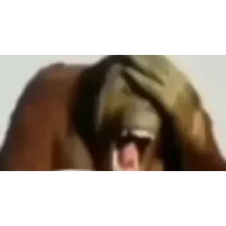 Video sticker 👍 By-@BetterCallThomas