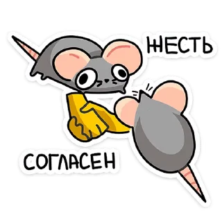 Video sticker 😳 Крис @stickersvvk