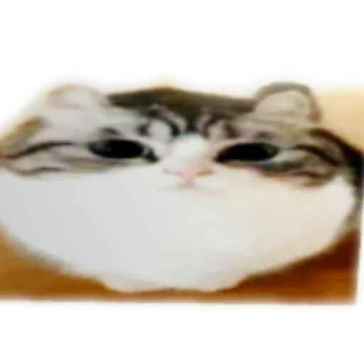 Telegram sticker 🛋 ريموو