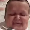 Video sticker 🤣 тг: @berzloy_sto...