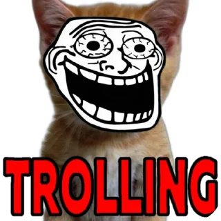 Video sticker 🐱 Хуйня для докса от @MKD_MEMES