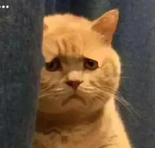 Telegram sticker 😟 𝗡𝗮𝗿𝘂𝘁𝗼││𝗞𝗮𝗻𝗲𝗸𝗶s Pack @MoonsGC