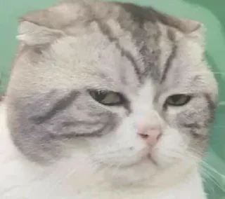 Telegram sticker 🤨 𝗡𝗮𝗿𝘂𝘁𝗼││𝗞𝗮𝗻𝗲𝗸𝗶s Pack @MoonsGC