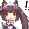 Sticker 😲 nekopara @nekoparadox