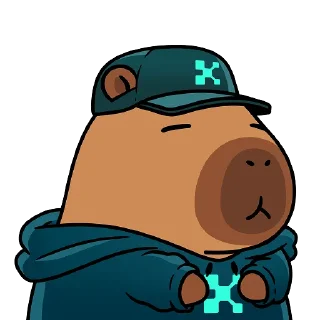 Sticker 🧢 yapybaras