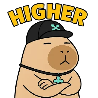 Telegram stiker 👆 yapybaras
