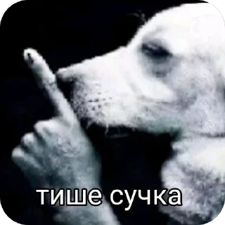 Telegram sticker 🫥 Дыньки :: @fStikBot
