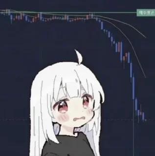 Video sticker 🌟 자주 쓰는 스티커