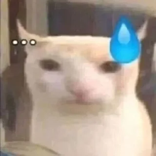 Telegram sticker 🌟 자주 쓰는 스티커