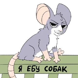Telegram sticker 😎 COPOKA |Копока