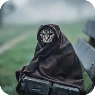 Telegram sticker 👍 @itwojak