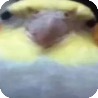 Telegram sticker 👍 @itwojak