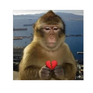 Telegram sticker 🫥 Monkey pack @jewsjutsu