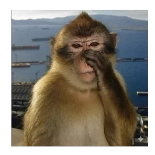 Telegram sticker 🫥 Monkey pack @jewsjutsu