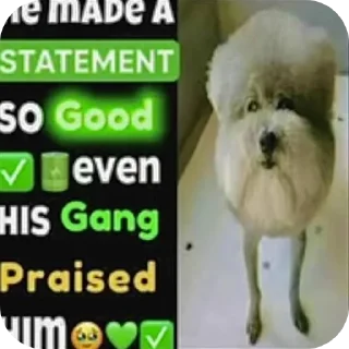 Telegram sticker 👍 Retarded nigga shit @ihatesomecertainraces