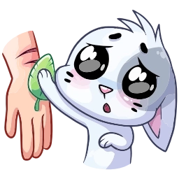 Sticker 🥺 Бисквит @emojivk