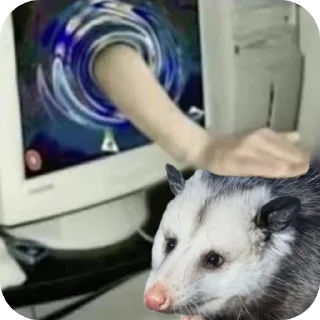 Telegram sticker 🐶 Опоссума @TgEmodziBot