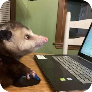 Telegram sticker ❤ Опоссума @TgEmodziBot