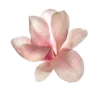 Video sticker 🪷 soft inside (polin...