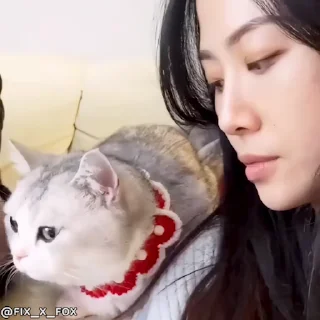 Video sticker 🥰 Больше стиков тут: @stikery4
