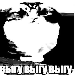 Video sticker 🖼 комарэкэ https://t.me/komariki_tg