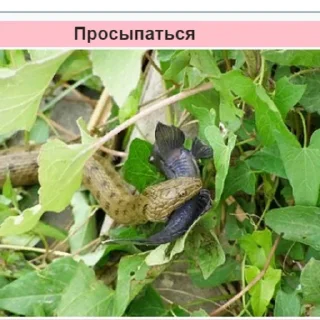 Telegram sticker 😵 Стикеры Планеты Гугл