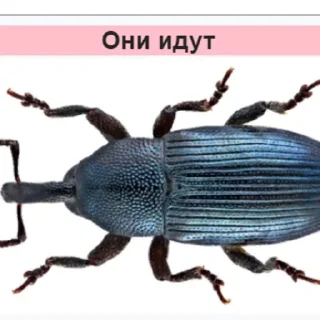 Telegram sticker 😦 Стикеры Планеты Гугл