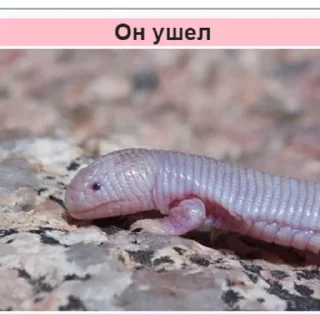 Telegram sticker 😢 Стикеры Планеты Гугл