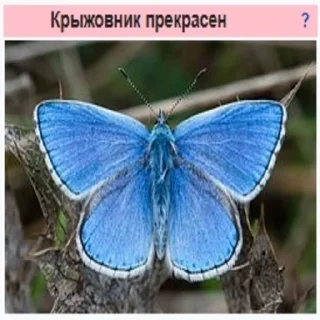 Sticker 👩‍🌾 Стикеры Планеты Гугл