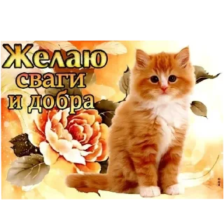 Telegram sticker 🥰 мадун :: @fStikBot