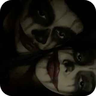 Video sticker 🤡 Zoo