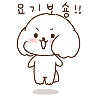 Video sticker ⭐ 세숑 짱 세숑! @moe_sticker_bot