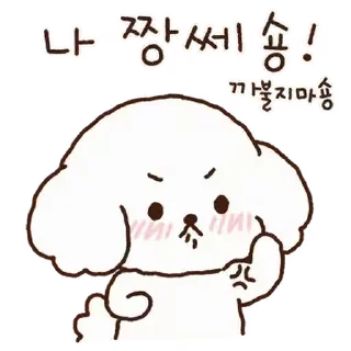 Video sticker ⭐ 세숑 짱 세숑! @moe_sticker_bot