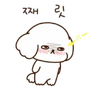 Video sticker ⭐ 세숑 짱 세숑! @moe_sticker_bot