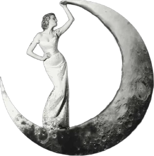 Telegram sticker 🌙 @selenphle