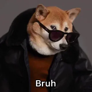 Telegram sticker 🐶 @SahilKhatkar11 Vol.1